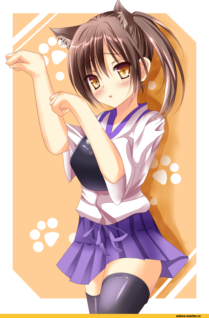 Kantai Collection, neko, Animal Ears, Kaga (Kantai Collection), Anime