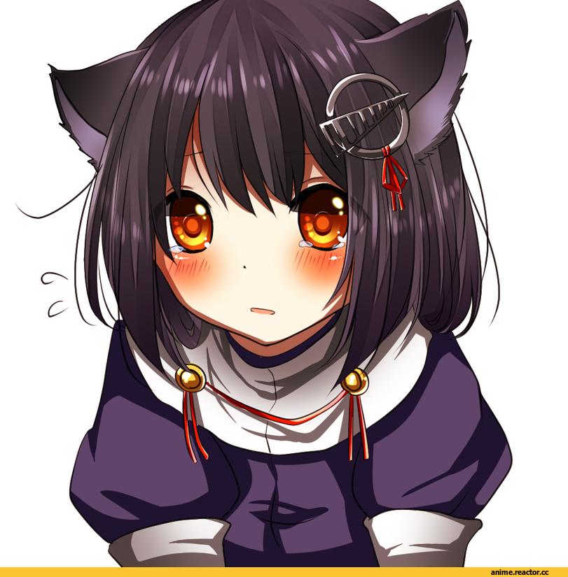 neko, Animal Ears, Kantai Collection, Haguro, Anime