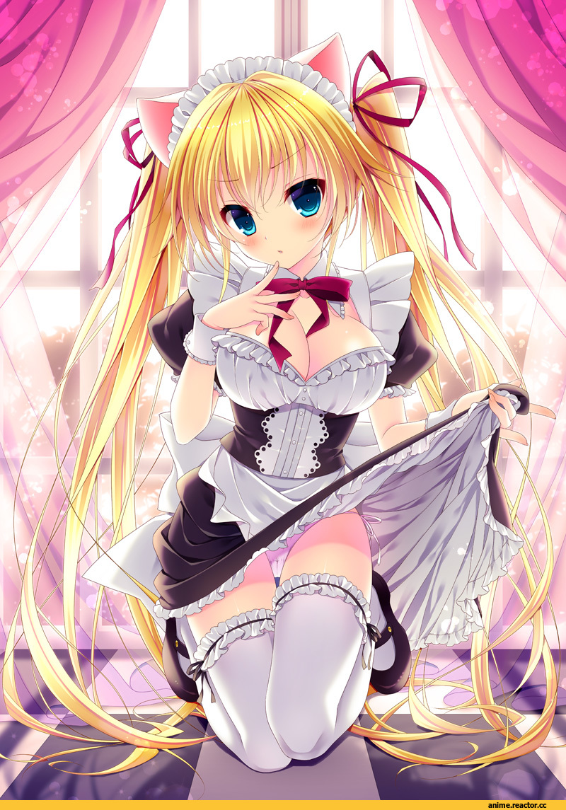Maid, Anime Adult pantsu, Anime Ero, nekomimi, Animal Ears, Anime