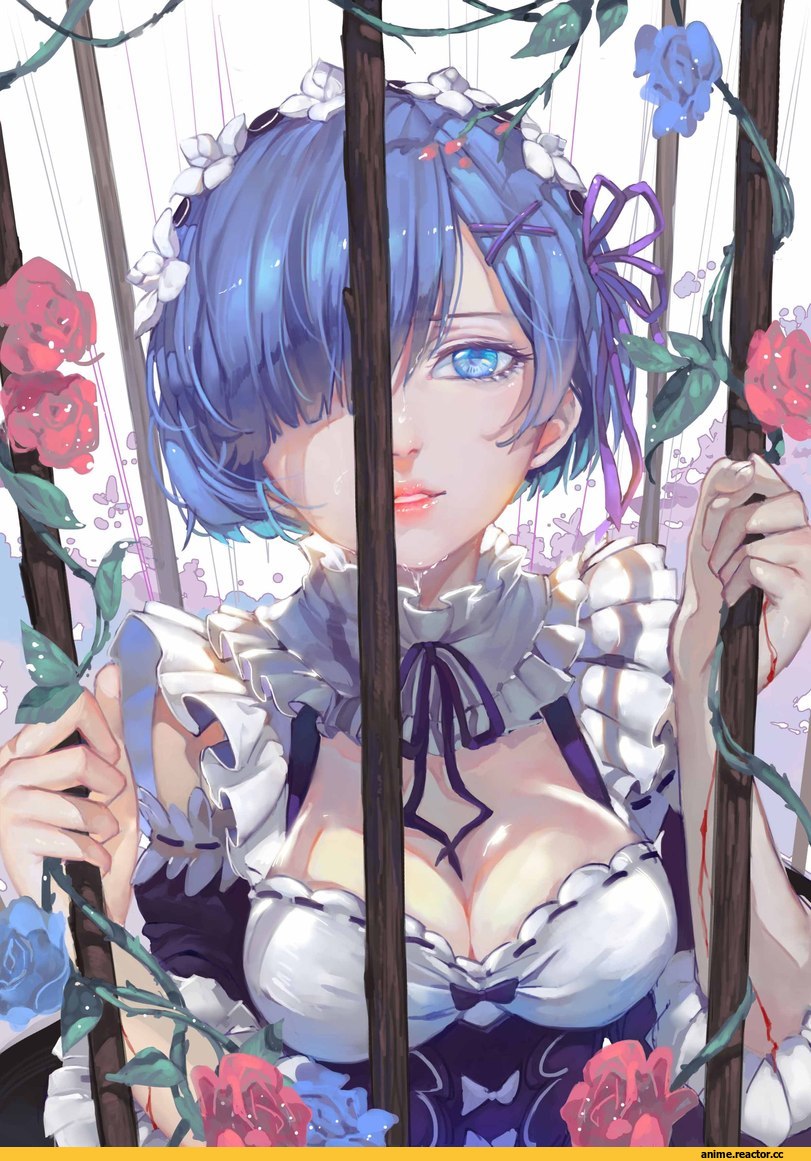 Re Zero Kara Hajimeru Isekai Seikatsu, Rem (re zero), budinger, Anime