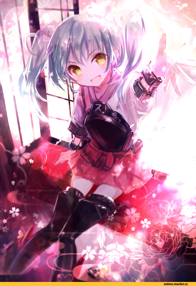 Kantai Collection, Zuikaku, Anime