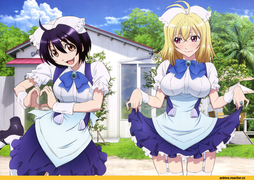 Cross Ange, tenshi to ryuu no rondo, angelise ikaruga misurugi, momoka oginome, Maid, Anime
