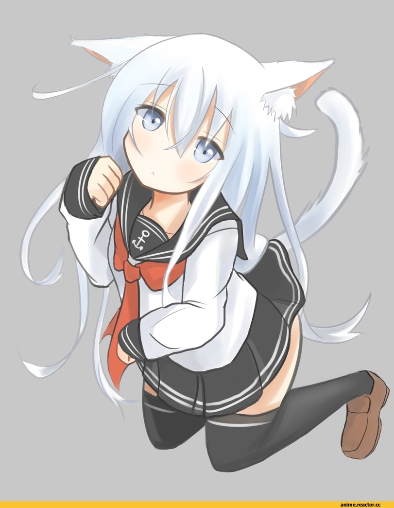 Kantai Collection, Hibiki (Kantai Collection), Animal Ears, Неко, Anime