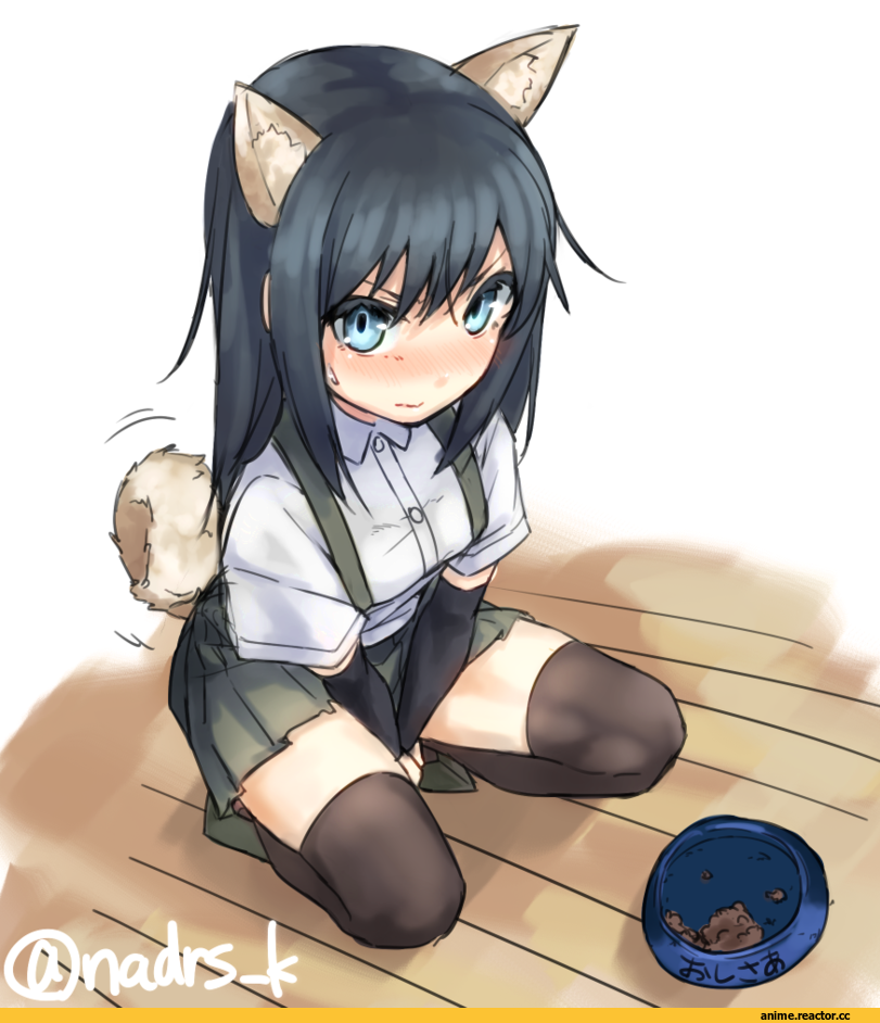 Asashio, Kantai Collection, Animal Ears, Inumimi, Anime