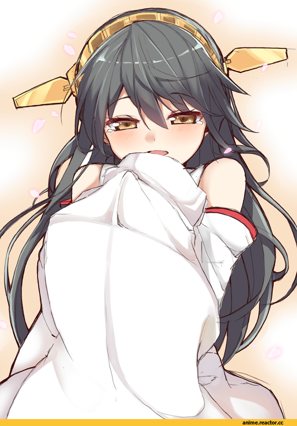 Haruna (Kantai Collection), Kantai Collection, Anime