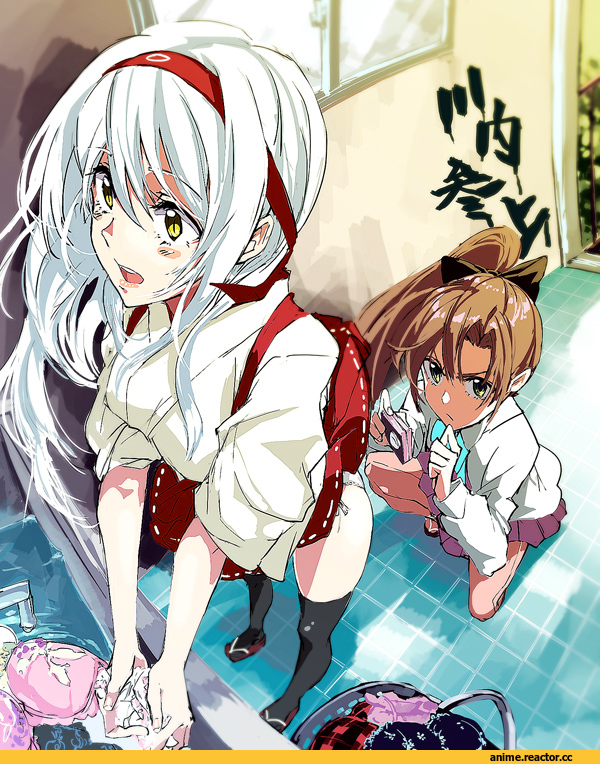 Kantai Collection, Akigumo, Shoukaku, Anime
