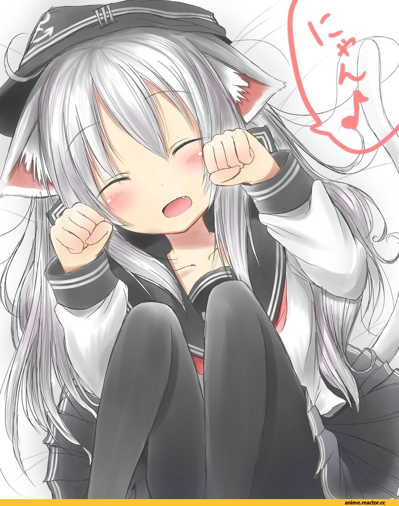 Hibiki (Kantai Collection), Kantai Collection, Animal Ears, Неко, Anime