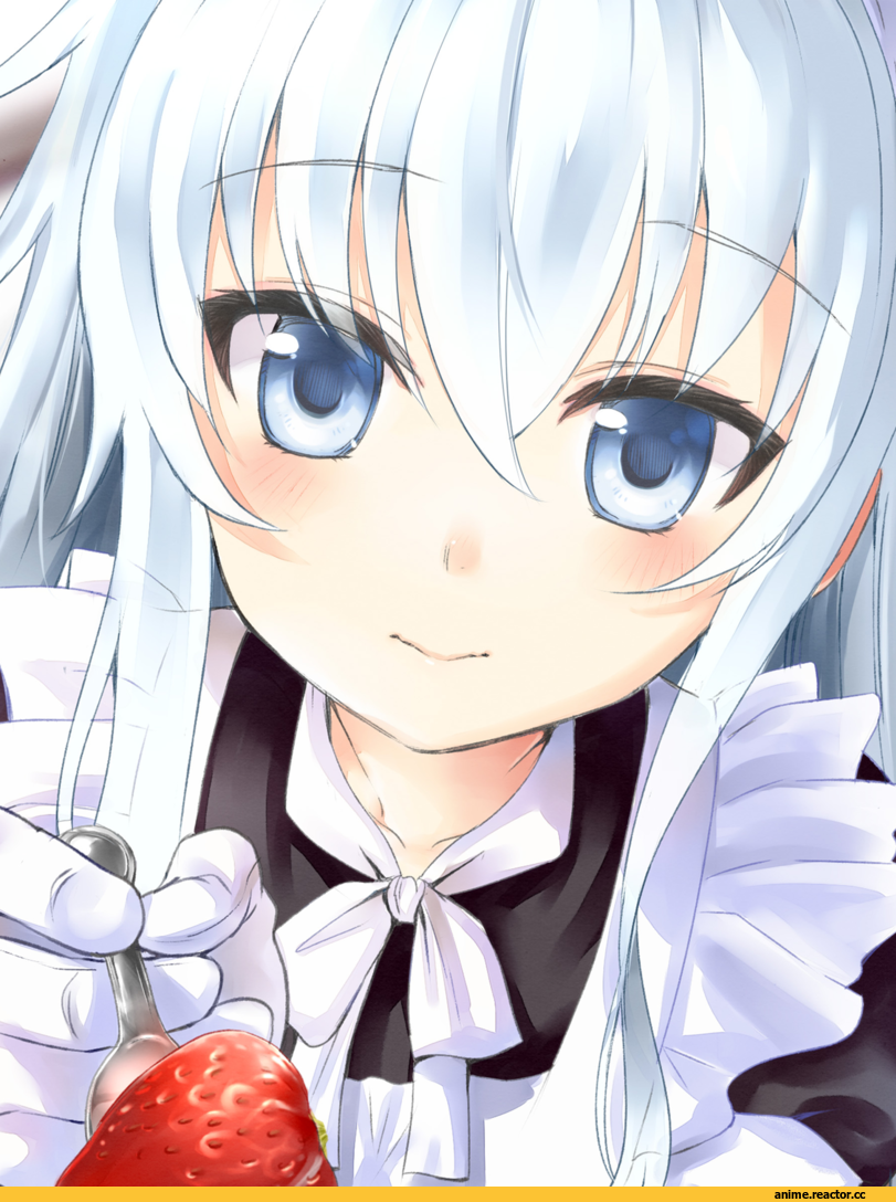 Hibiki (Kantai Collection), Kantai Collection, Anime