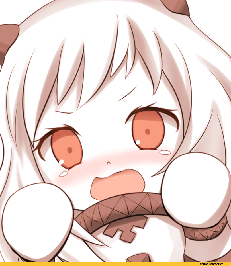 Northern Ocean Hime, Kantai Collection, Anime