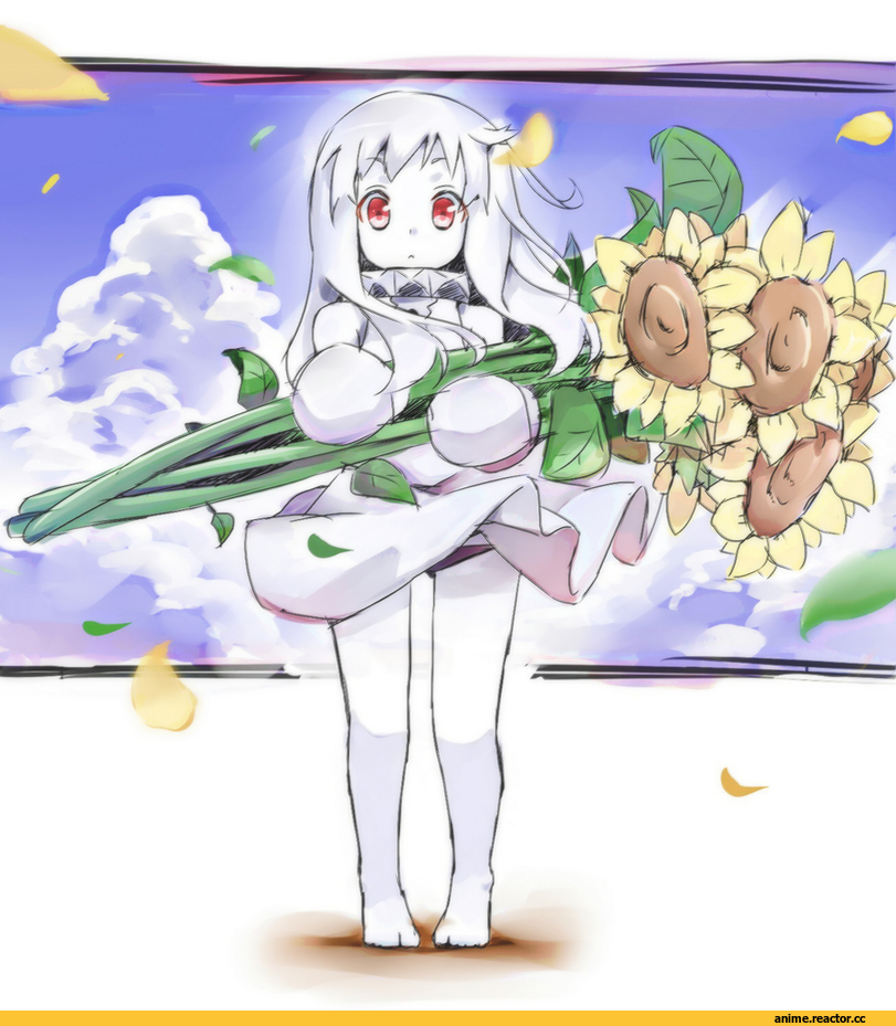 Northern Ocean Hime, Kantai Collection, Anime
