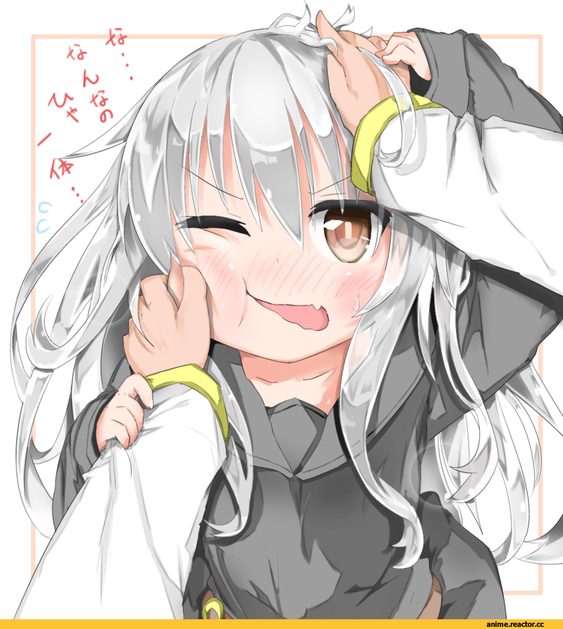 Kikuzuki, Kantai Collection, Admiral (Kantai Collection), Anime
