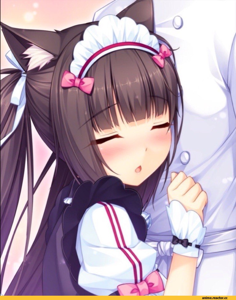 горничная, neko, Animal Ears, няшка, Спящая Красавица, Anime
