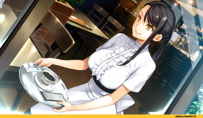 nanairo reincarnation, hijikata yumi, sumeragi kohaku, Maid, Anime