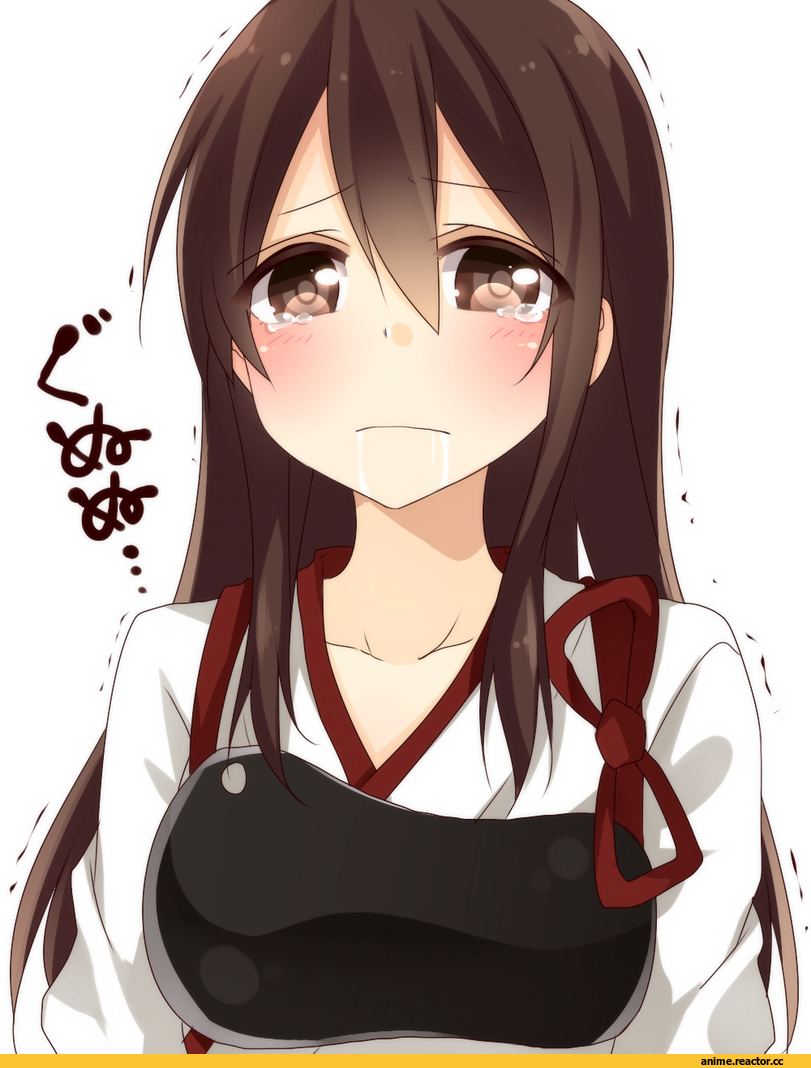 Kantai Collection, Akagi (Kantai Collection), Anime