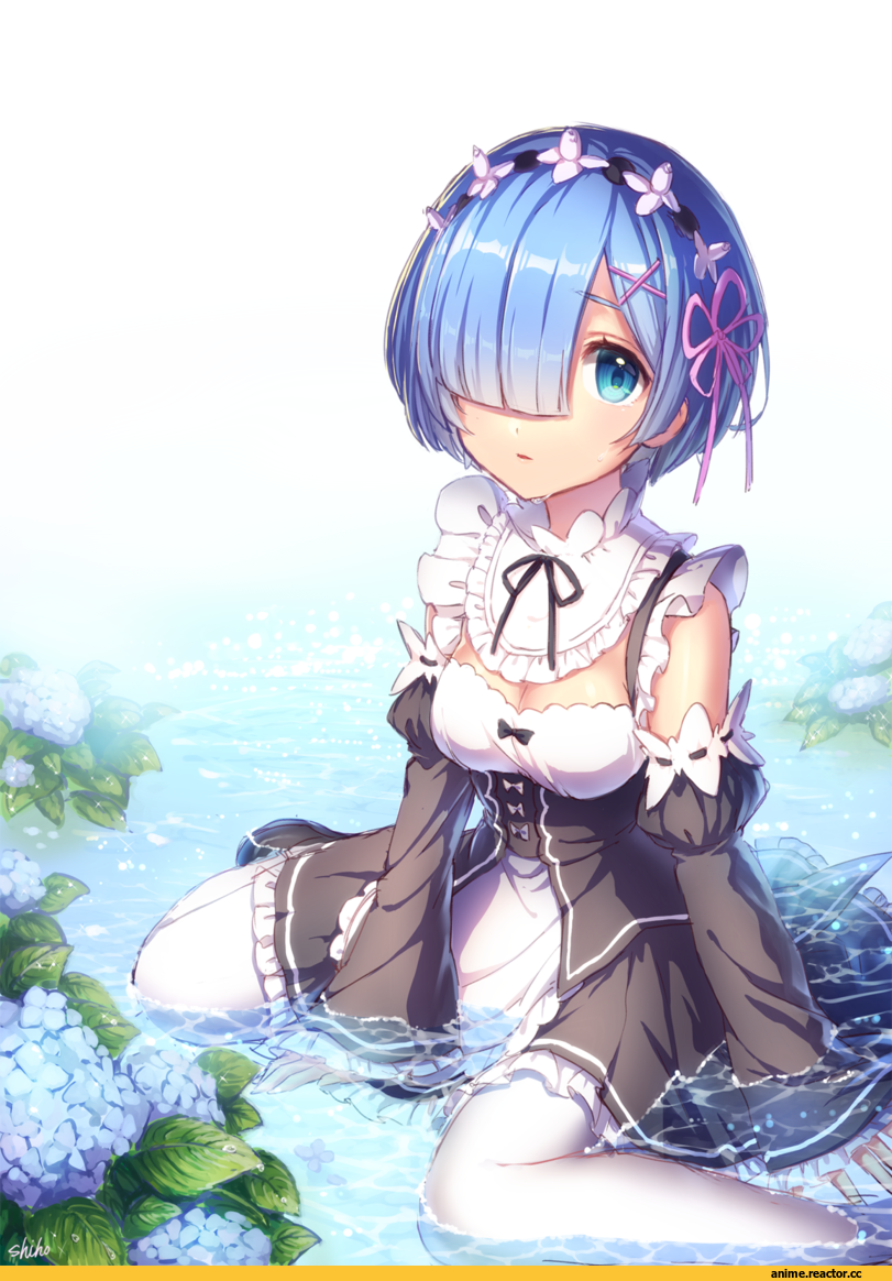 Rem (re zero), Re Zero Kara Hajimeru Isekai Seikatsu, sakura shiho (shihoncake), Anime