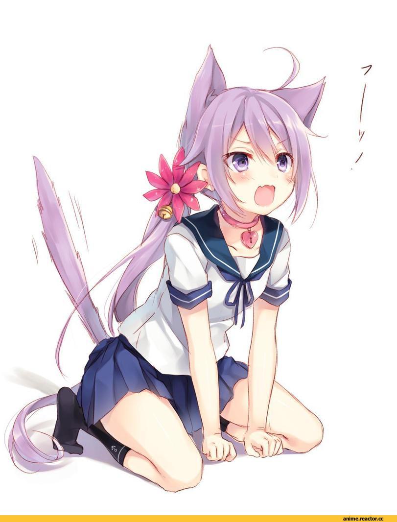 Akebono, Kantai Collection, Неко, Animal Ears, Anime