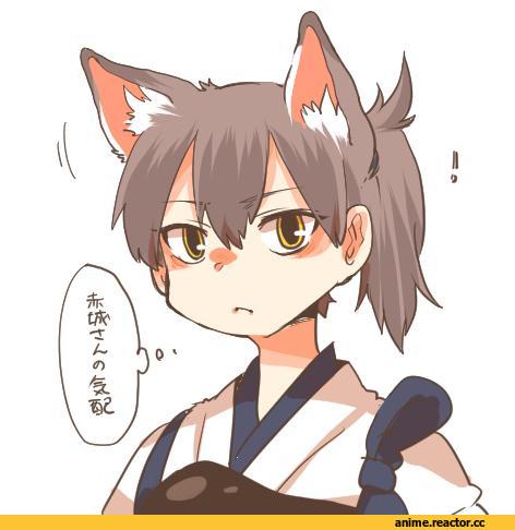 Kantai Collection, Kaga (Kantai Collection), Animal Ears, neko, Anime