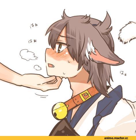 Kantai Collection, Kaga (Kantai Collection), Animal Ears, neko, Anime
