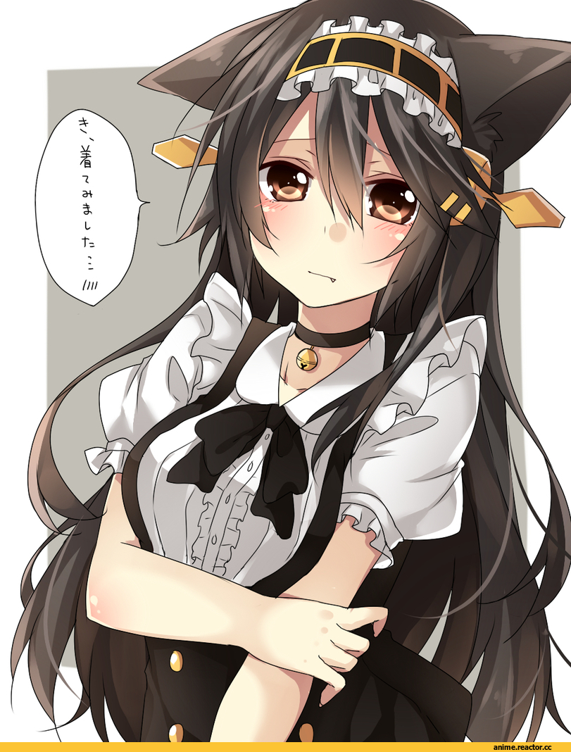 Haruna (Kantai Collection), Kantai Collection, Animal Ears, neko, Anime