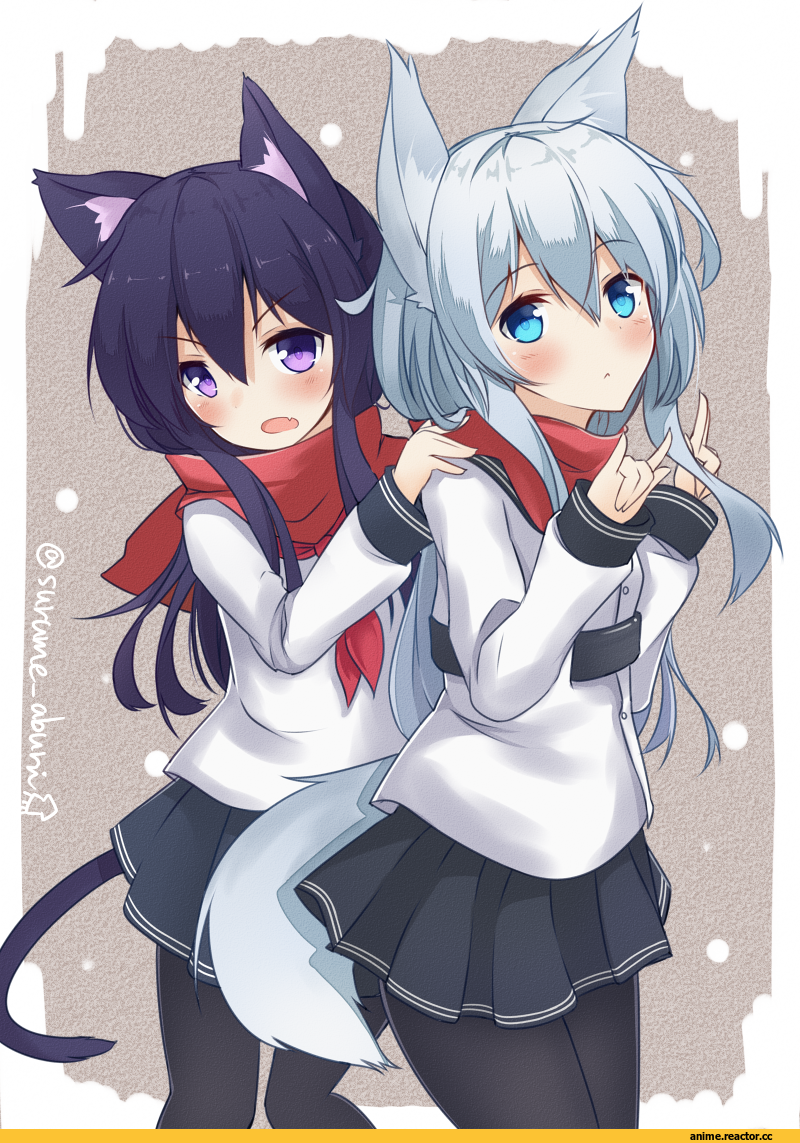 Hibiki (Kantai Collection), Kantai Collection, surume aburi, Akatsuki, Anime Art, Неко, Animal Ears, Kitsune, Anime