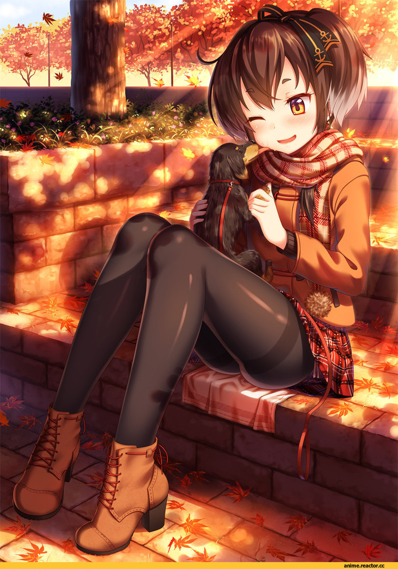 Nazu-Na, Tokitsukaze (Kantai Collection), Kantai Collection, удалённое, Anime