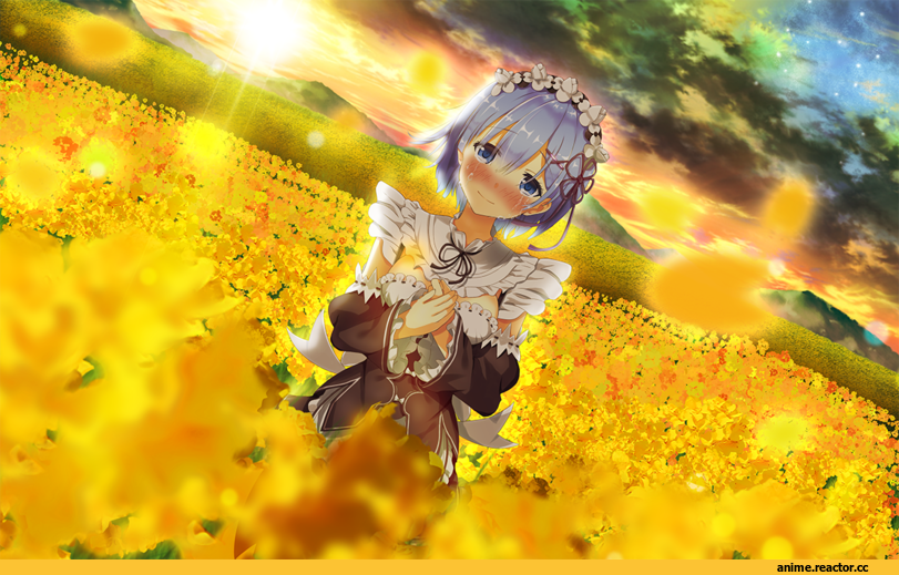 Rem (re zero), Re Zero Kara Hajimeru Isekai Seikatsu, Anime Art, hirokyon0606, Anime
