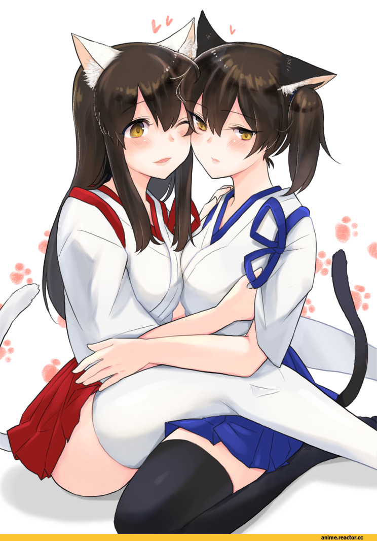 Akagi (Kantai Collection), Kantai Collection, Kaga (Kantai Collection), Fukurou Mori, Animal Ears, neko, Anime