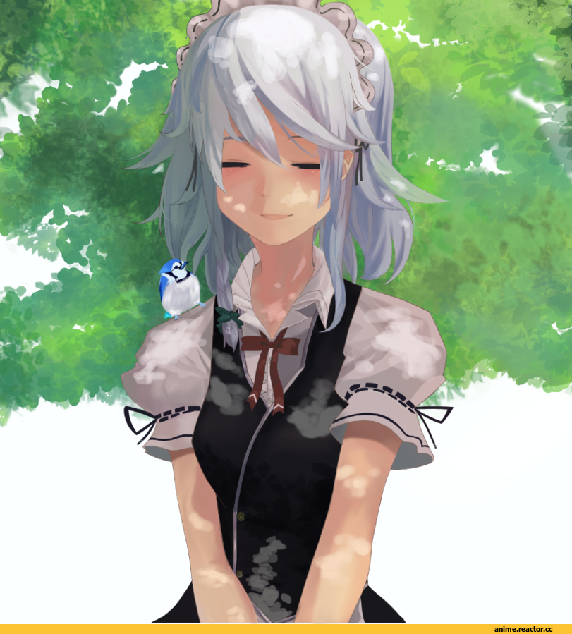 pet_shop, Anime Art, Maid, Lunch (DBZ), Dragon Ball, Adult pantsu, Anime Ero, ещё в комментах, Anime