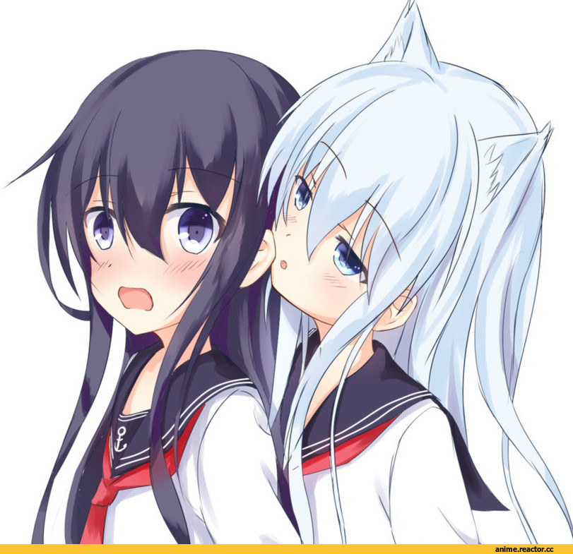 Hibiki (Kantai Collection), Kantai Collection, Akatsuki, neko, Animal Ears, Anime