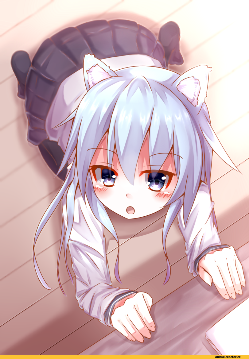 Hibiki (Kantai Collection), Kantai Collection, nekomimi, Animal Ears, Anime