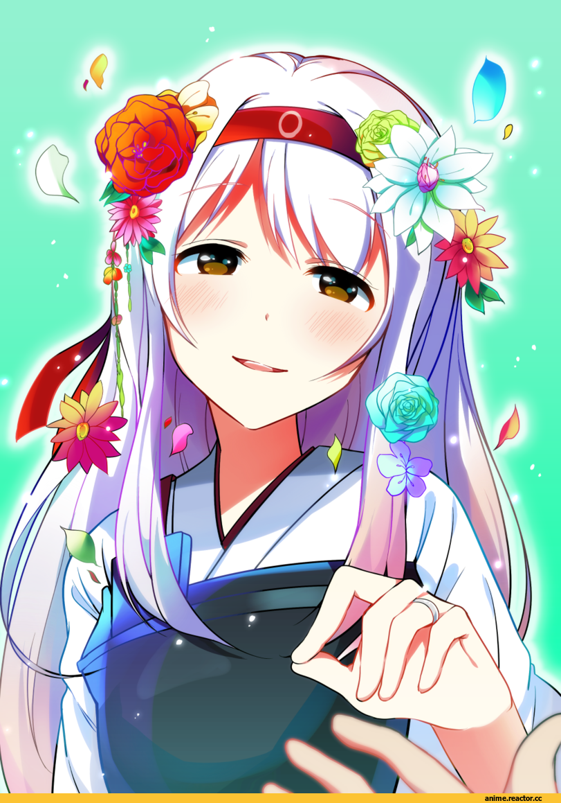 Shoukaku (Kantai Collection), Kantai Collection, hirayama toto, Anime