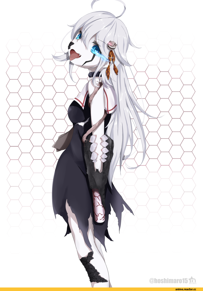 Kantai Collection, Shigure (Kantai Collection), Anime