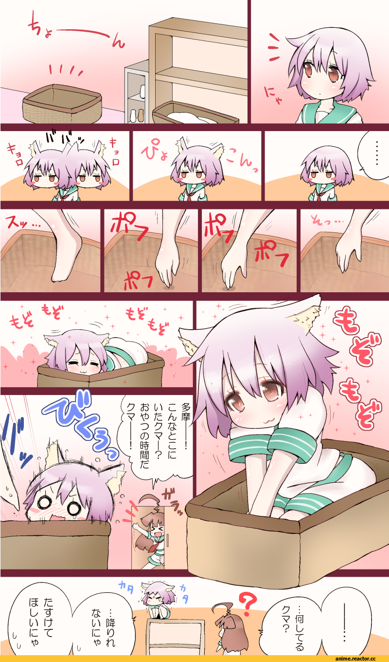 Kantai Collection, Tama (Kantai Collection), Kuma (Kantai Collection), neko, Animal Ears, oyatsu (jzs 137), Anime
