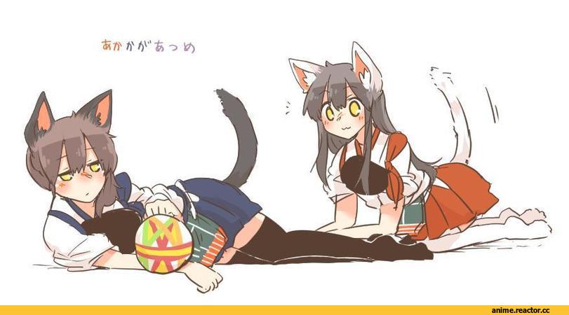 Akagi, Kantai Collection, kaga, nekomimi, Animal Ears, Inumimi, Anime