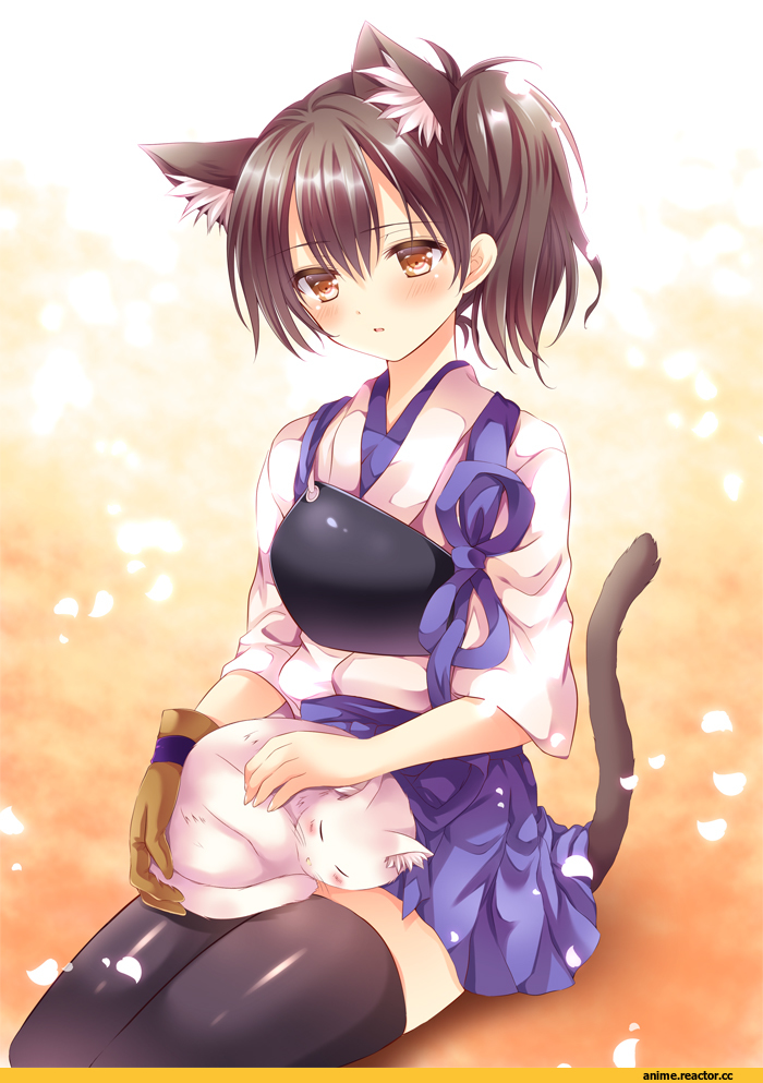 nekomimi, Animal Ears, Kaga (Kantai Collection), Kantai Collection, Anime
