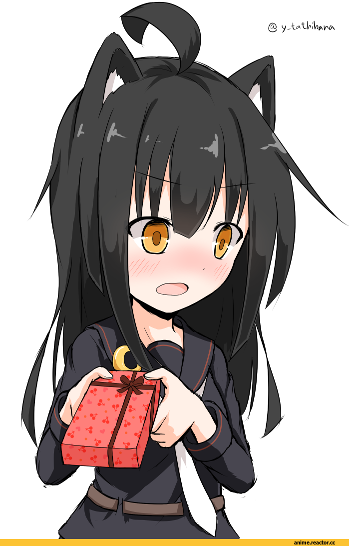 Mikazuki (Kantai Collection), Kantai Collection, yamato tachibana, nekomimi, Animal Ears, Anime