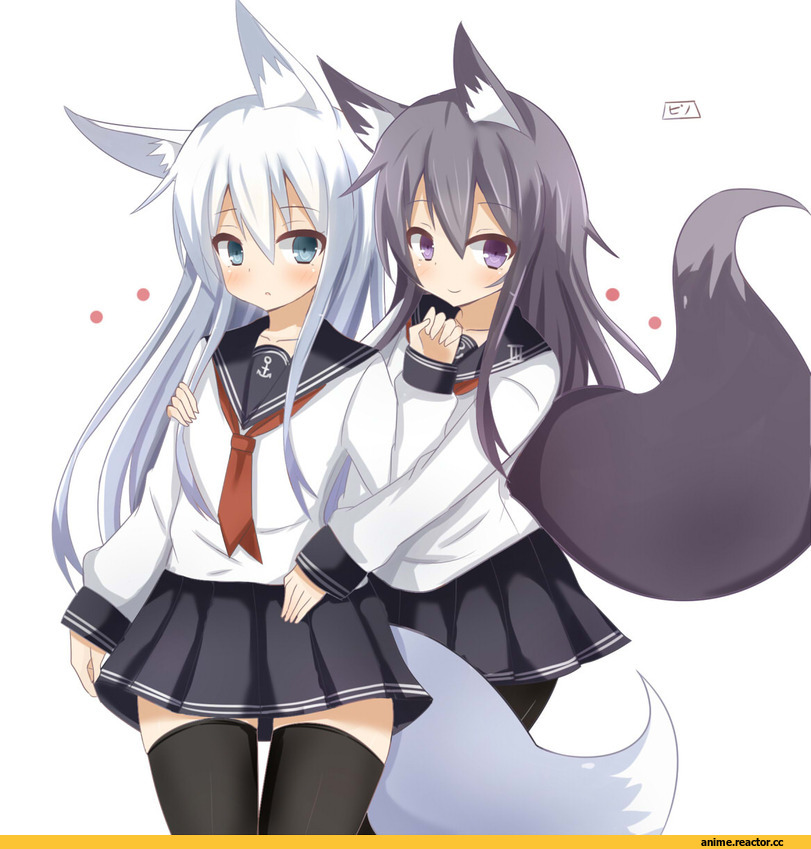 Akatsuki, Hibiki (Kantai Collection), Kantai Collection, Kitsune, Animal Ears, Anime
