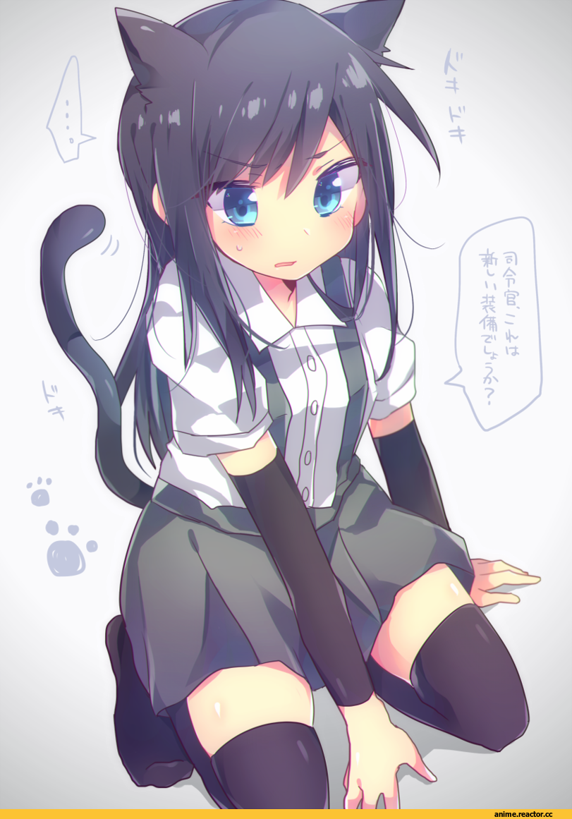 asashio (kantai collection), Kantai Collection, nekomimi, Animal Ears, mikomikko, Anime