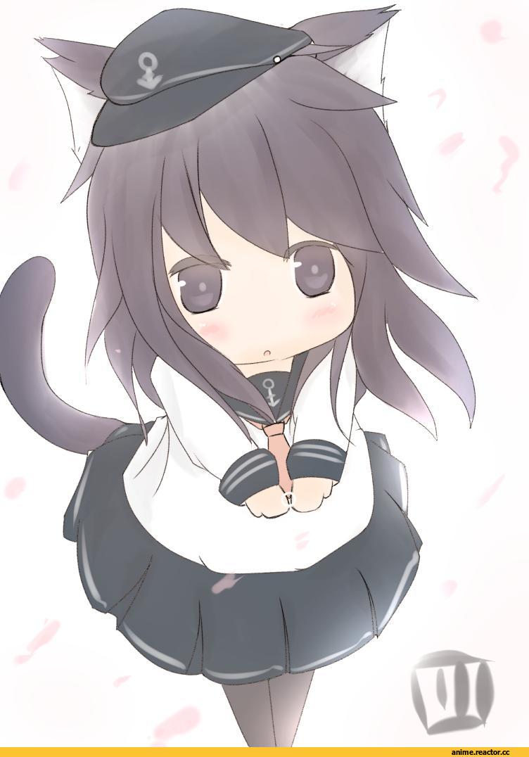 Akatsuki, Kantai Collection, roripedon, nekomimi, Animal Ears, Anime