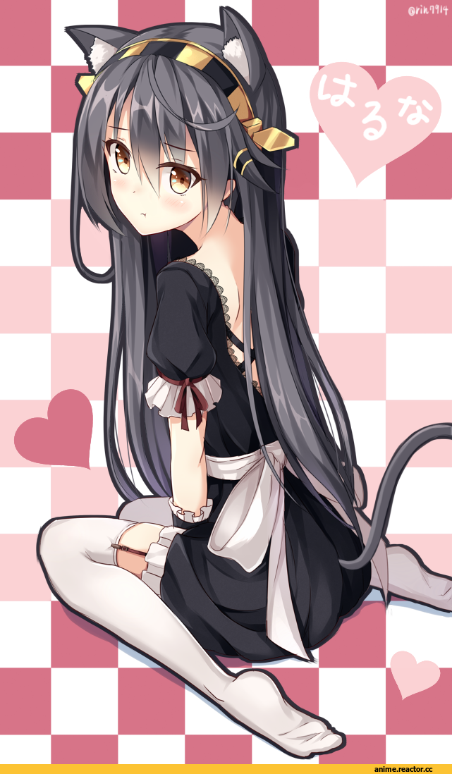 Kantai Collection, Haruna (Kantai Collection), neko, Animal Ears, Nikkunemu, Anime Art, Anime