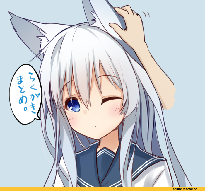 Hibiki (Kantai Collection), Kantai Collection, surume aburi, Animal Ears, Kitsune, Anime