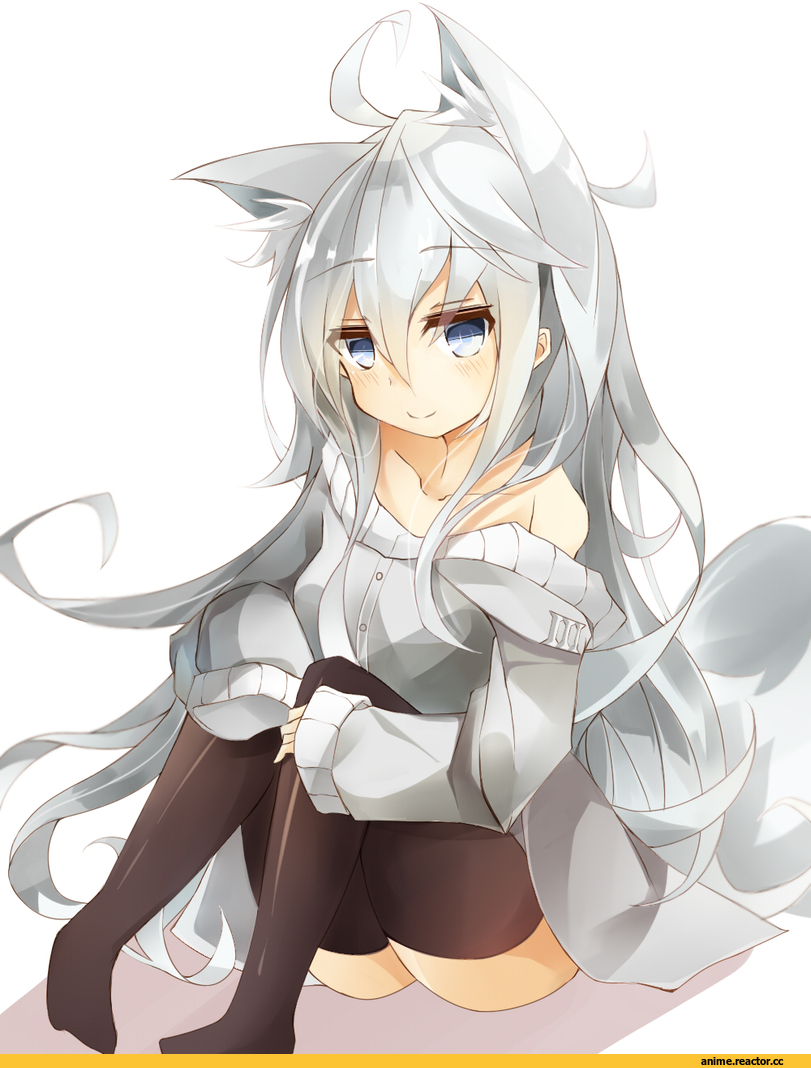 Hibiki (Kantai Collection), Kantai Collection, Inumimi, Animal Ears, miyabino (miyabi1616), Anime
