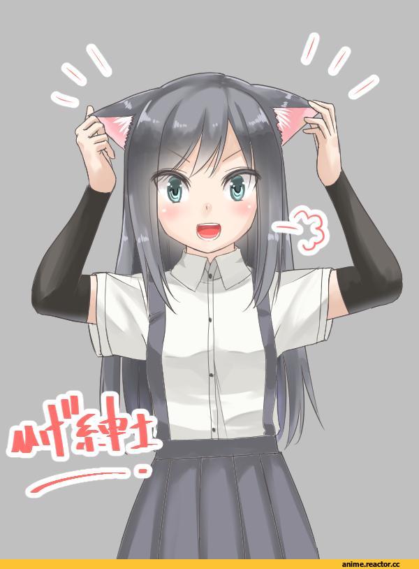 Asashio, Kantai Collection, shinkun, nekomimi, Animal Ears, Anime
