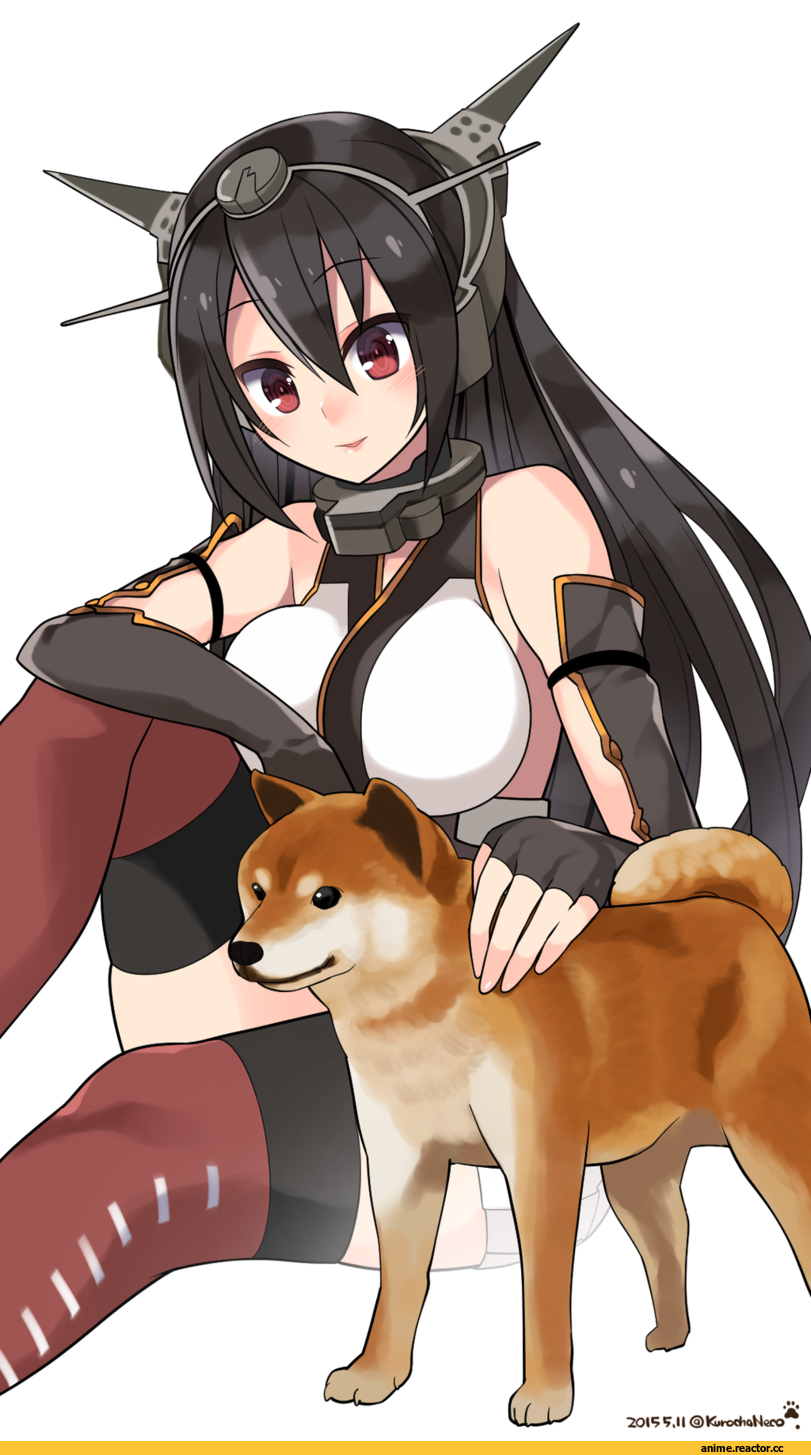 Nagato (Kantai Collection), Kantai Collection, kuro chairo no neko, Anime