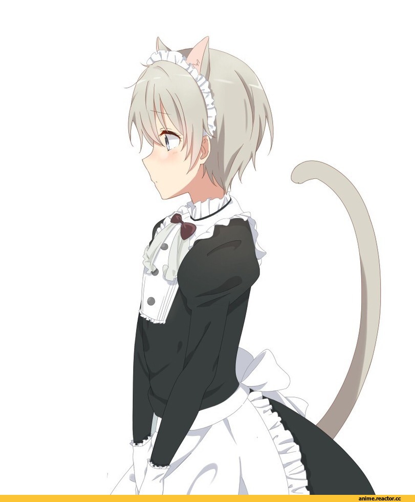 Totsuka Saika, OreGairu, Maid, nekomimi, Animal Ears, oriki tomoko, удалённое, Anime