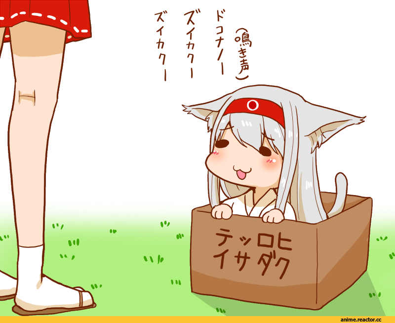 Shoukaku, Kantai Collection, sento (artist), nekomimi, Animal Ears, Anime