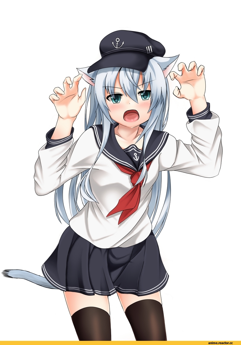 Hibiki (Kantai Collection), Kantai Collection, rivu penguin, nekomimi, Animal Ears, Anime