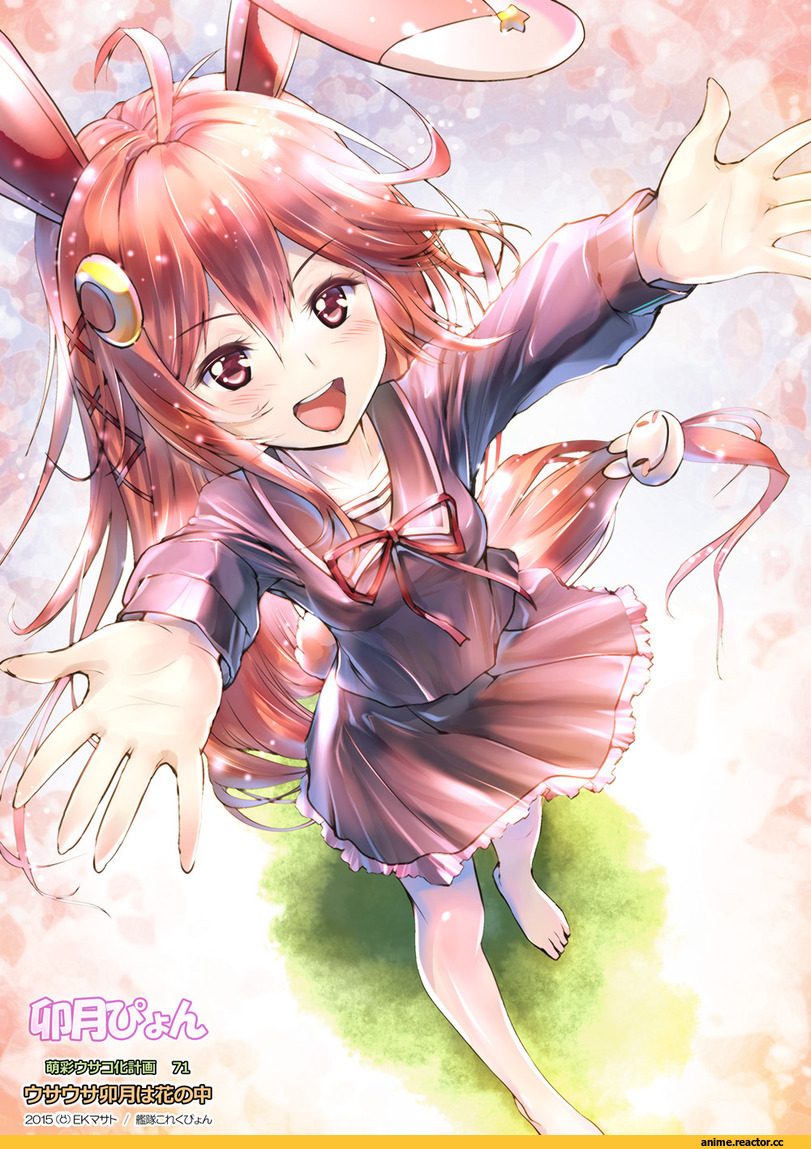 Uzuki (Kantai Collection), Kantai Collection, Usagimimi, Animal Ears, Anime