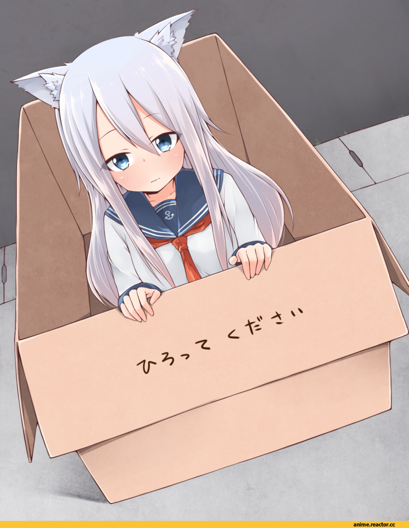 Hibiki (Kantai Collection), Kantai Collection, akky (akimi1127), Неко, Animal Ears, Anime