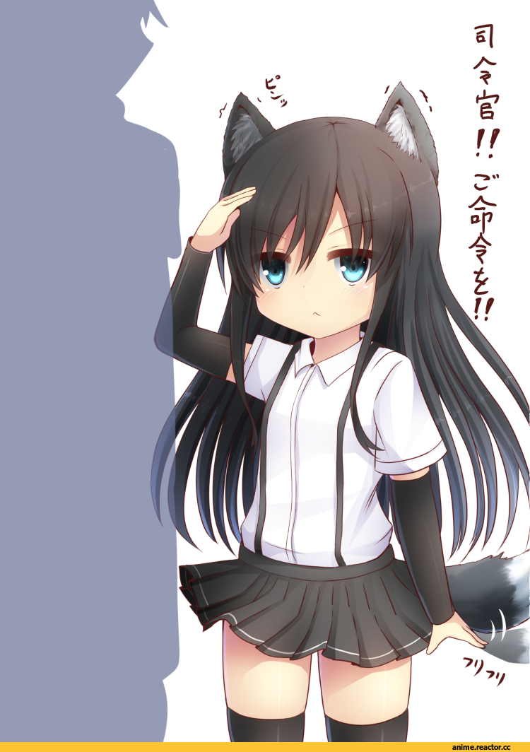 Asashio, Kantai Collection, Inumimi, Animal Ears, Anime Art, Anime